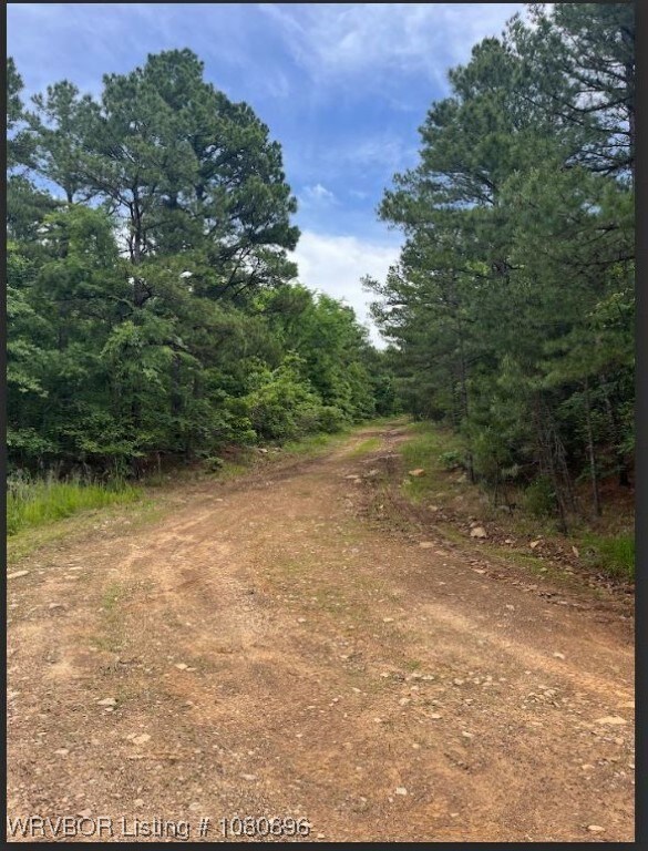 TBD Rural Latimer County, Red Oak, OK 74563 - photo 5