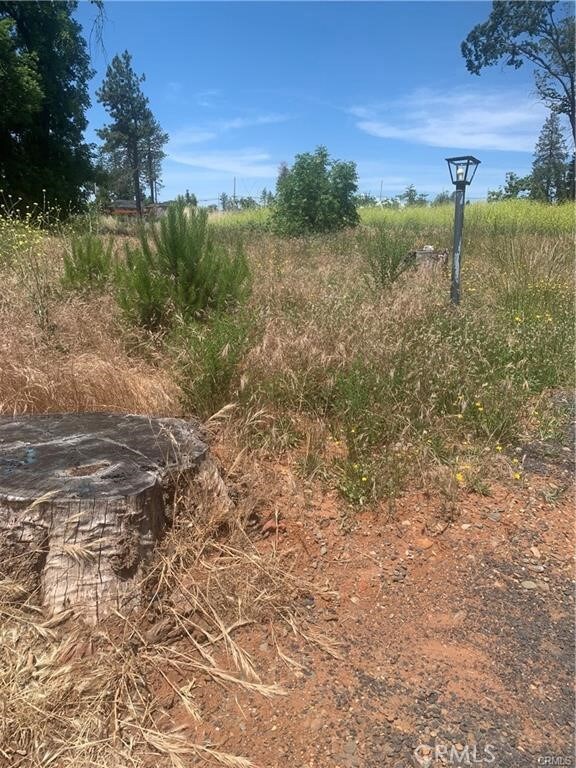 889 Deer Creek Ln, Paradise, CA 95969 - photo 4