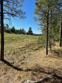 Lot and Fairway