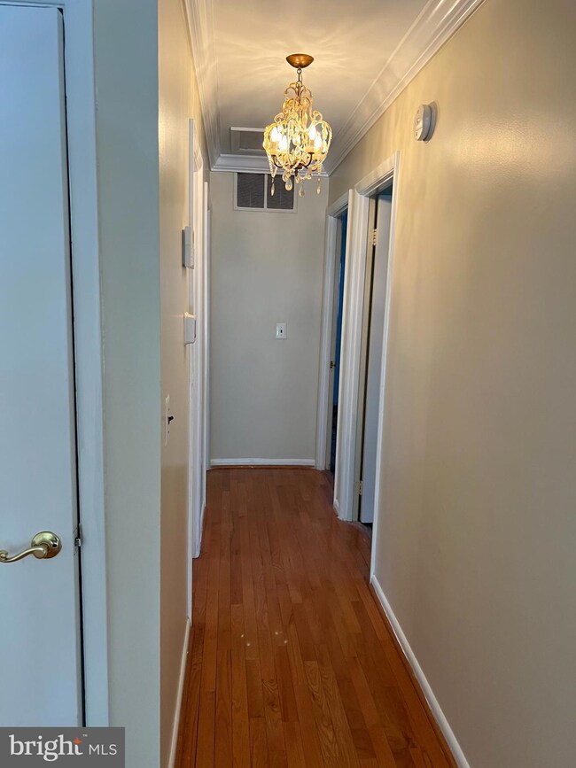 1105 Mentor Ave, Capitol Heights, MD 20743 - photo 3