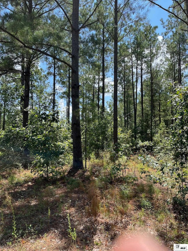 0 Bradford Rd, Choudrant, LA 71227 - photo 2