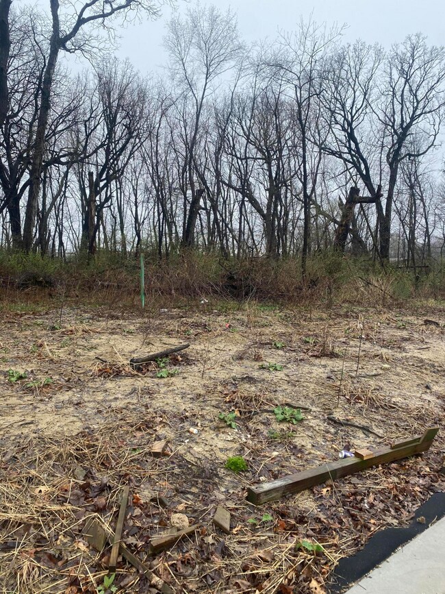 9555 112th Place, Cedar Lake, IN 46303 - photo 3