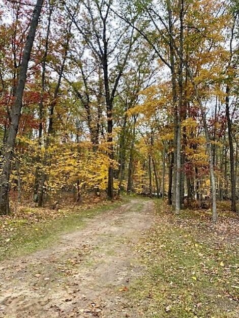 925 W 11 Mile Rd, Bitely, MI 49309 - photo 4