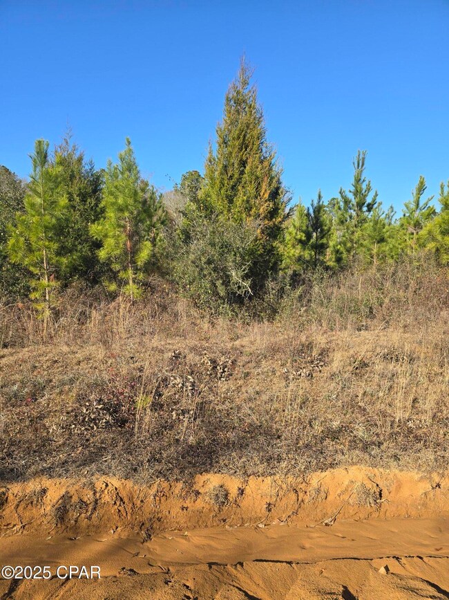 TBD Lot 4 Peanut Rd, Cottondale, FL 32431 - photo 7