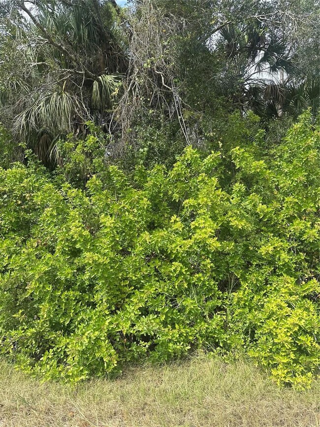 0 Kamain Rd unit MFRN6141272, North Port, FL 34288 - photo 2