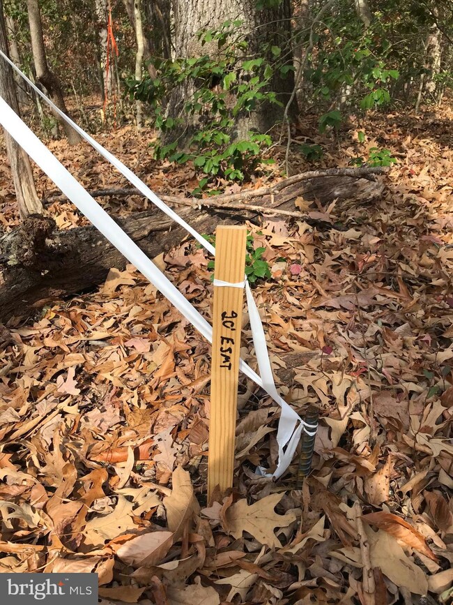 LOT 32 Orange Springs Rd, Unionville, VA 22567 - photo 7