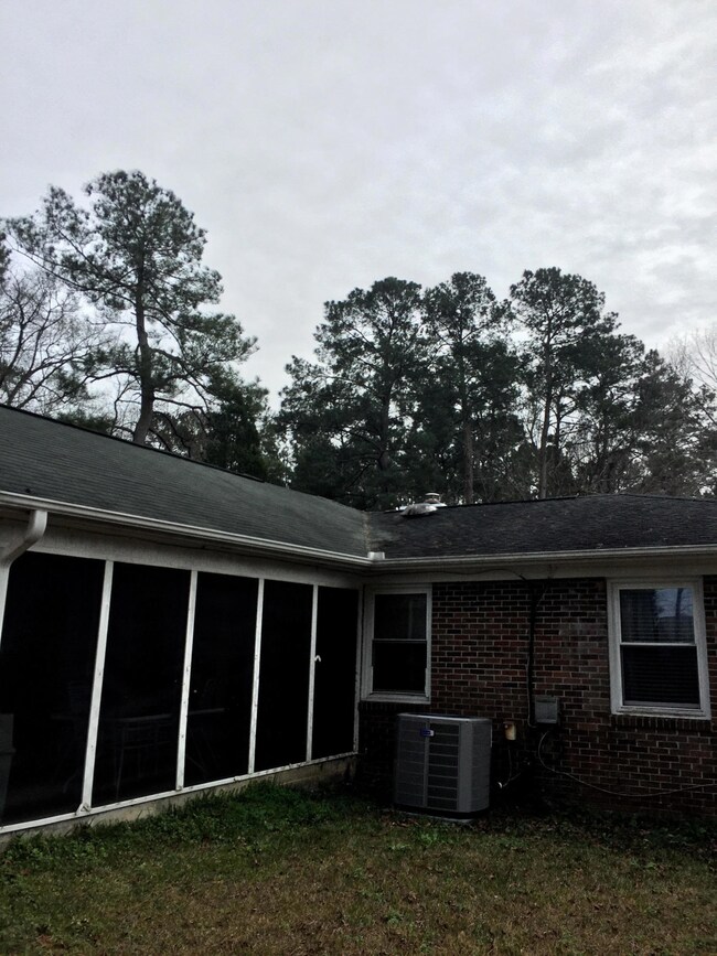 237 Judith right rear Picture extended d