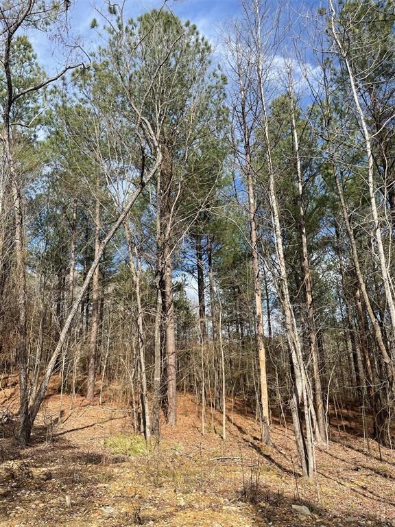 774 Timber Creek Trails South XI, Broken Bow, OK 74728 - photo 3