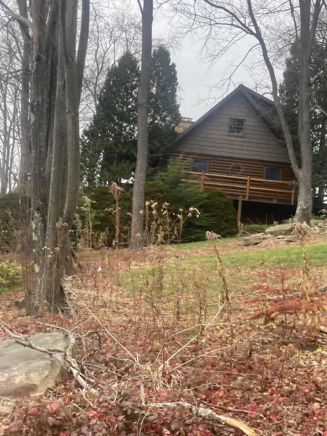 5674 Montmorenci Rd, Ridgway, PA 15853 - photo 3