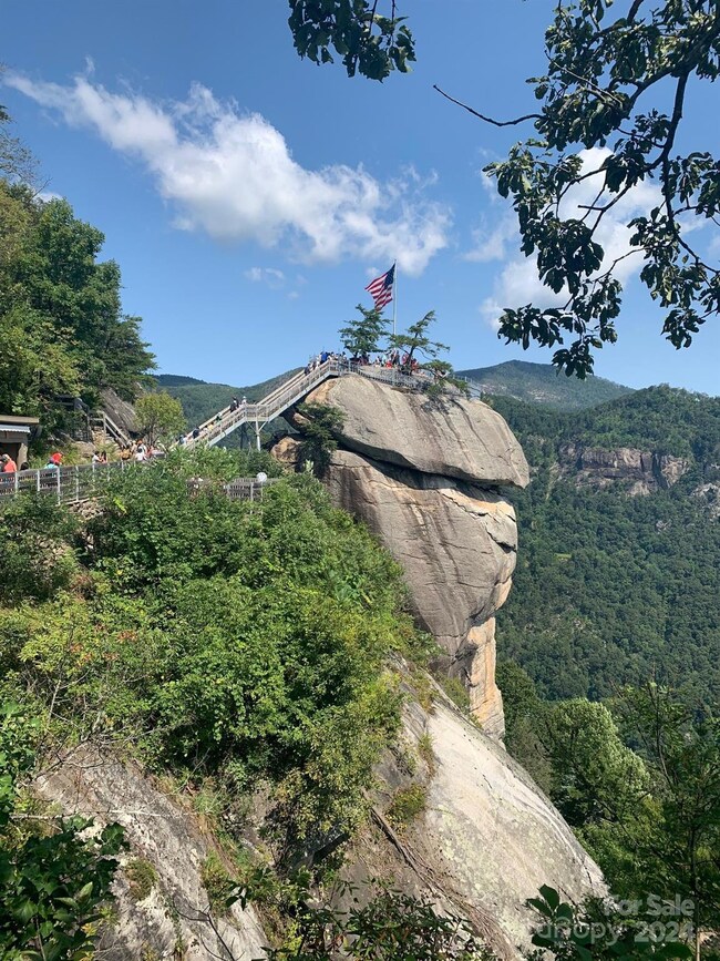 0 Mallard Rd unit CAR4123396, Lake Lure, NC 28746 - photo 3