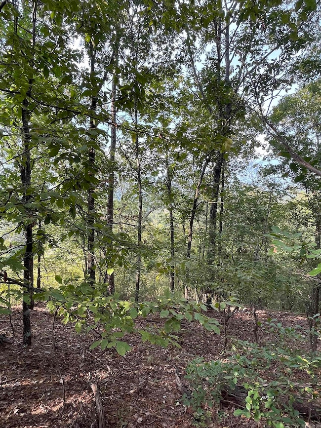 84 N Old Factory Site Rd, Murfreesboro, AR 71958 - photo 3