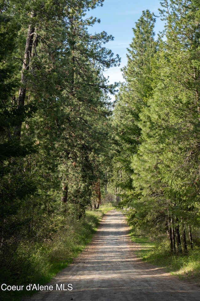 9620 N Hill Rd, Hauser, ID 83854 - photo 5