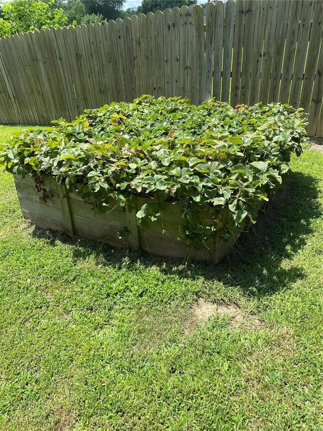 Strawberry Patch:)