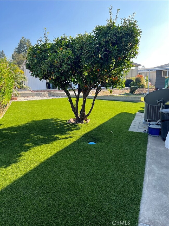 24001 Muirlands Blvd unit 221, Lake Forest, CA 92630 - photo 4