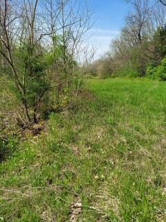 1112 Covered Bridge Rd, Wallingford, KY 41093 - photo 6