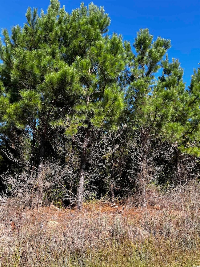 1677 Cockfield Rd unit LOT 10, Scranton, SC 29591 - photo 4