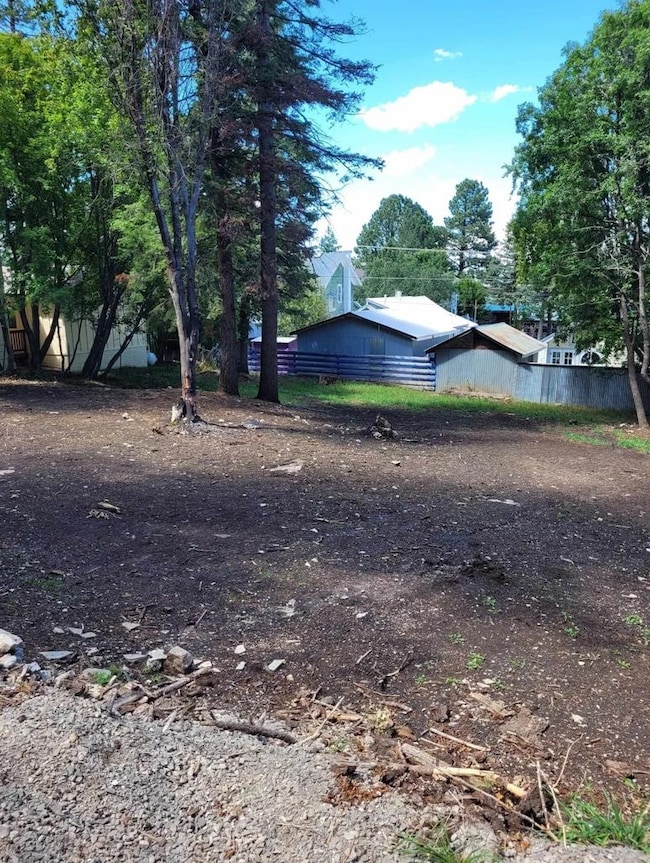 204 Squirrel Ave unit 12,13, Cloudcroft, NM 88317 - photo 3