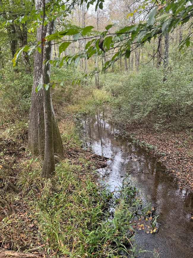 unlisted-address, Osyka, MS 39656 - photo 7