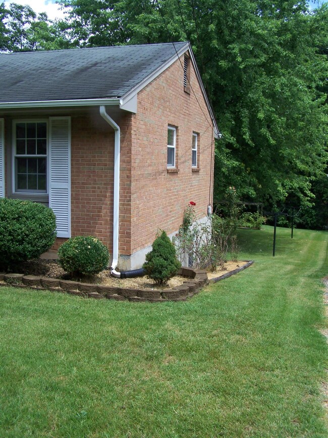 Nice Yard