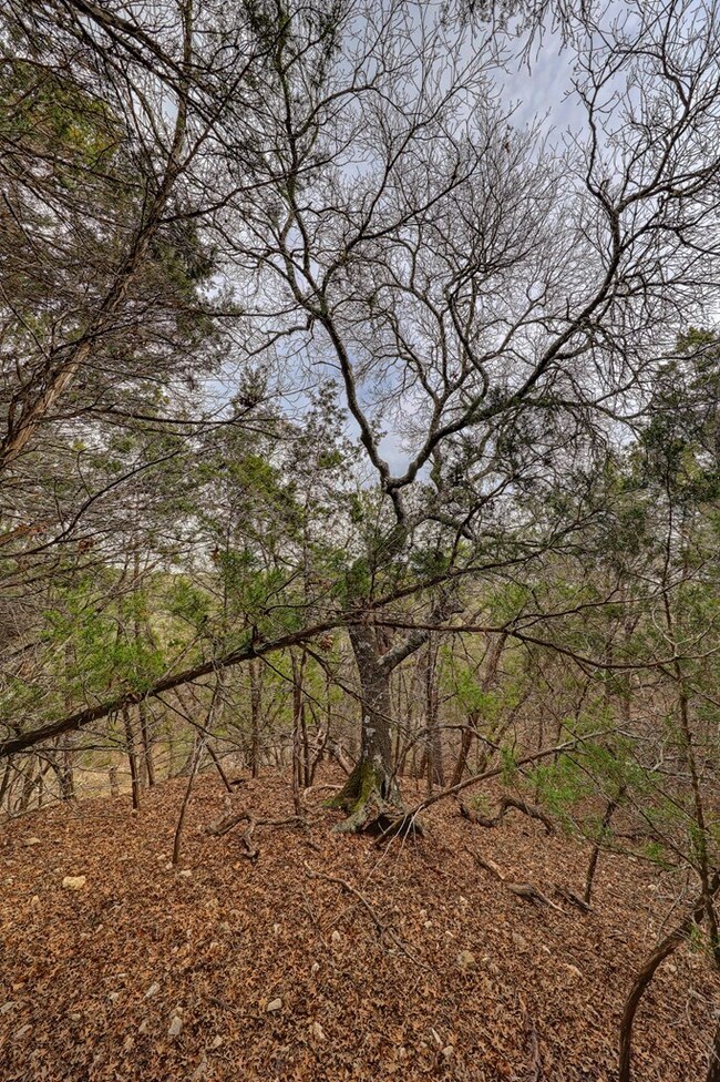 158 Ledge Stone Ln W unit 9, Hunt, TX 78024 - photo 7