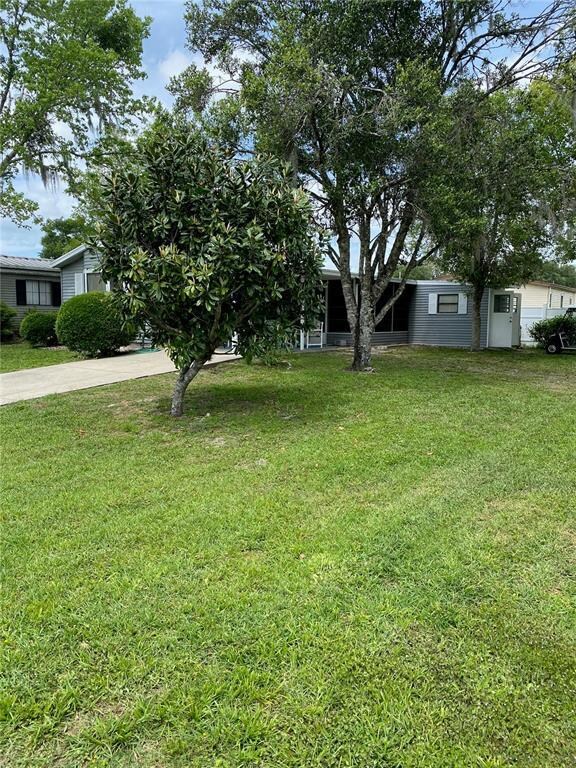 LOVELY SURROUNDINGS AND PLENTY OF TREES