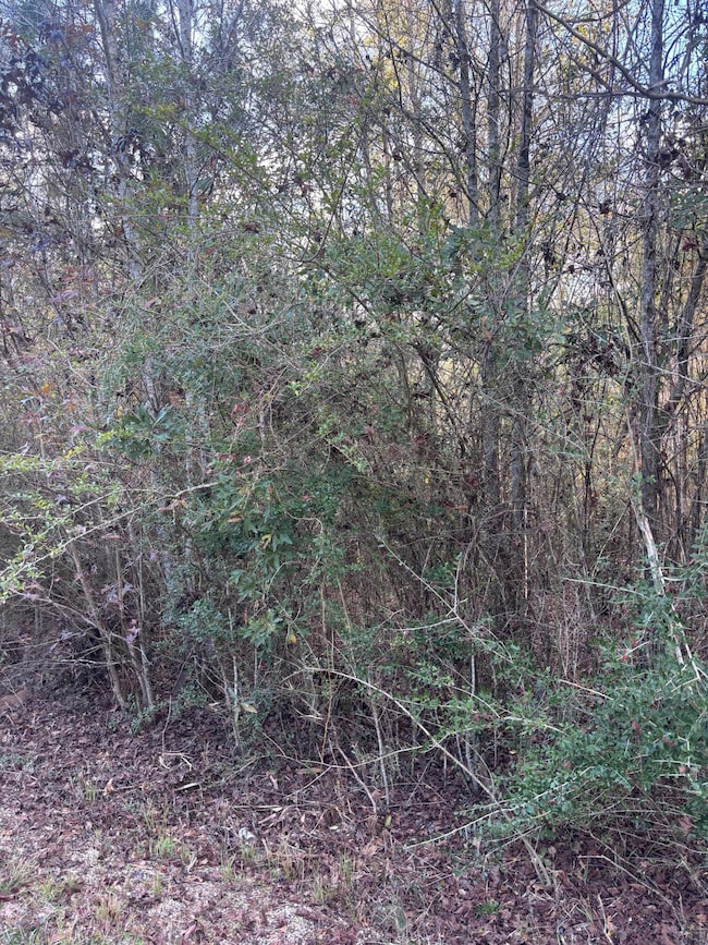 00 Williams Cutoff, Sumrall, MS 39482 - photo 7