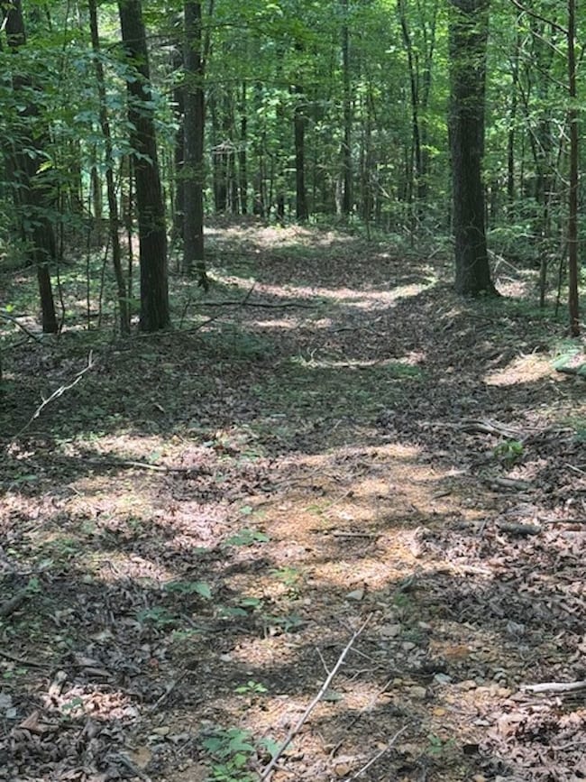 0 Wet Mill Creek Rd unit LotWP001 18424138, Celina, TN 38551 - photo 7