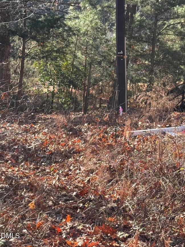 00 Matthew Dr, Henderson, NC 27537 - photo 3