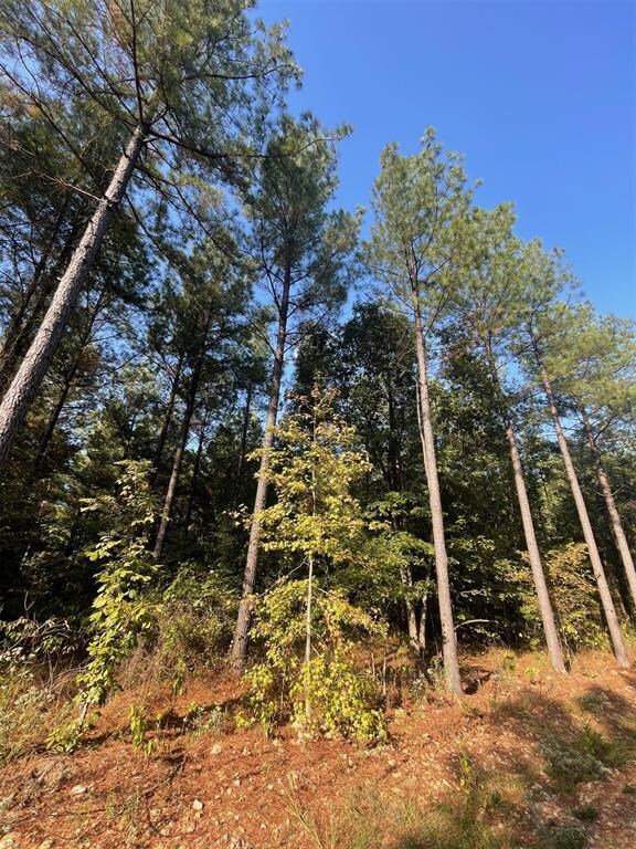 758 Timber Creek Trails South XI, Broken Bow, OK 74728 - photo 5