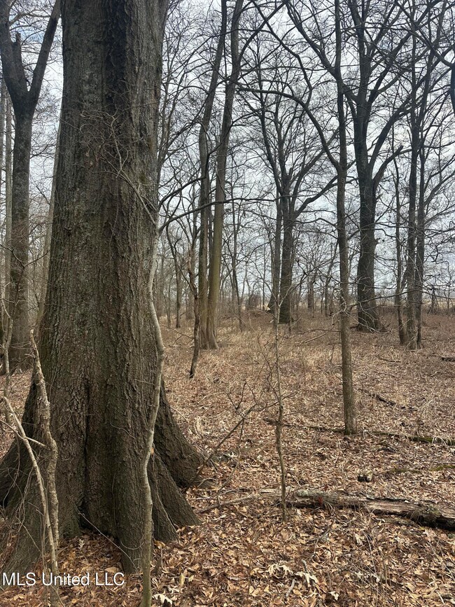 0 County Road 526 unit 4103391, Minter City, MS 38944 - photo 7