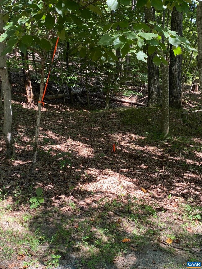 Left Front across road