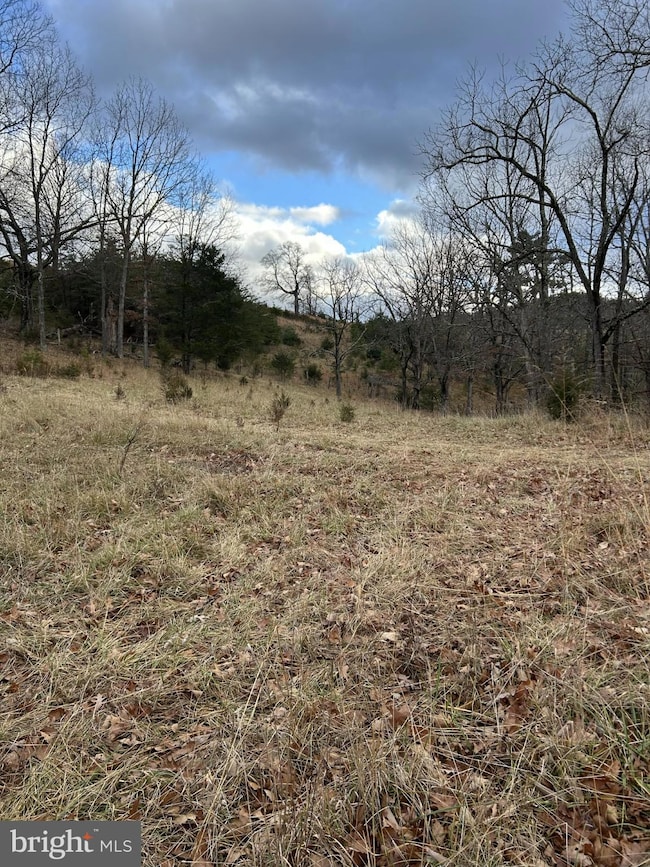 365 Strauter, Franklin, WV 26807 - photo 5