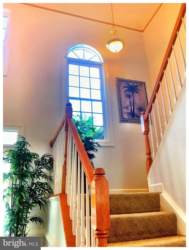 21104 Hickory Forest Way, Germantown, MD 20876 - photo 7