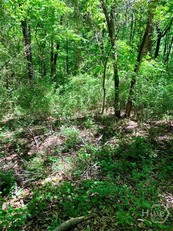 0 Martin Luther King Junior Dr unit CL336436, Commerce, GA 30529 - photo 4