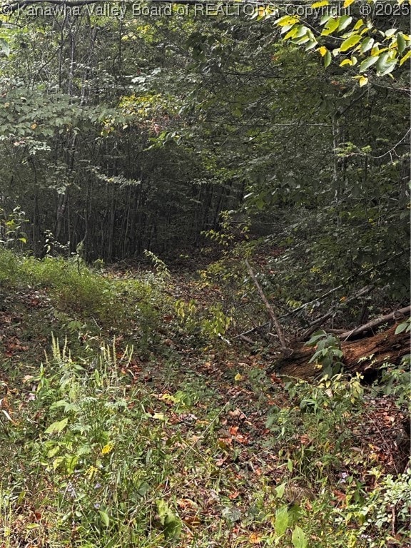 0-1 Dalton Branch Little Harts Creek Rd, Harts, WV 25524 - photo 3