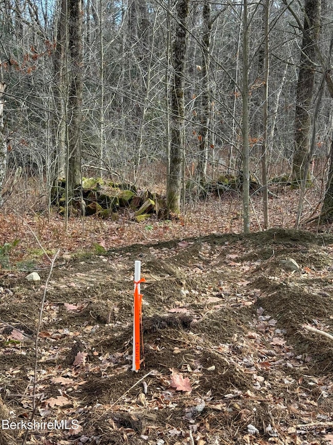 Lot 8 Benton Hill Rd, Becket, MA 01223 - photo 7