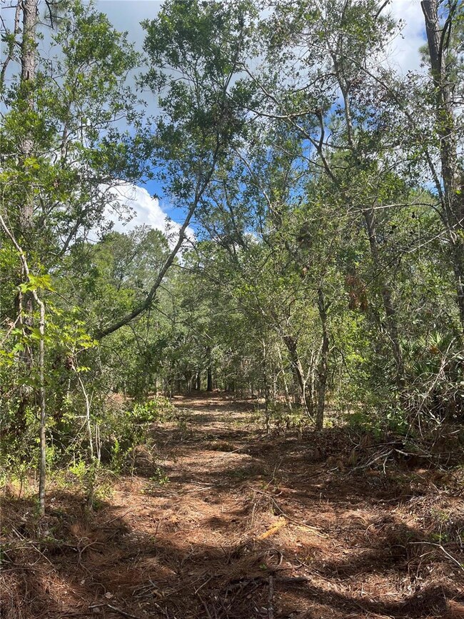 4613 Kola Rd, New Smyrna Beach, FL 32168 - photo 4