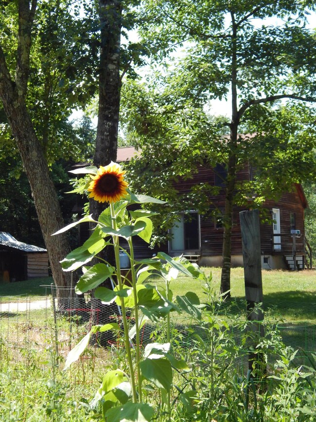 Garden2