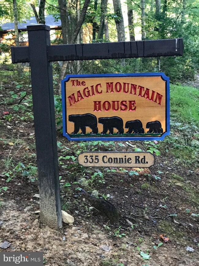 335 Connie Rd, Basye, VA 22810 - photo 3