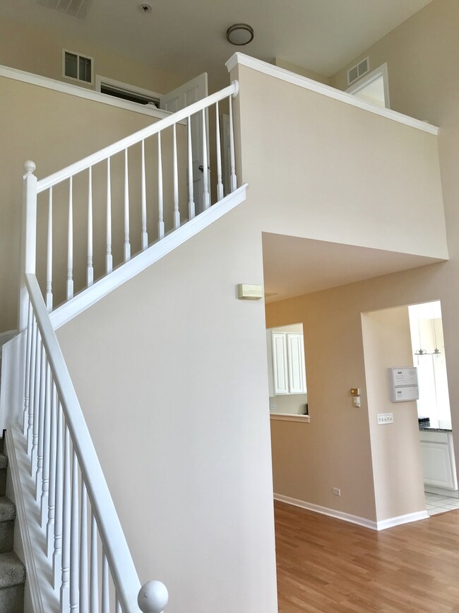 1000 Berry Path Trail unit 1126, Matteson, IL 60443 - photo 4