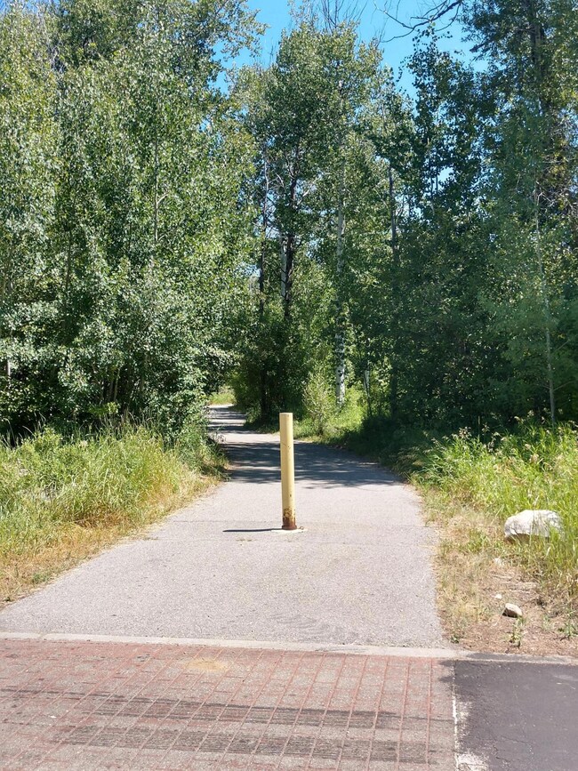 Pathway