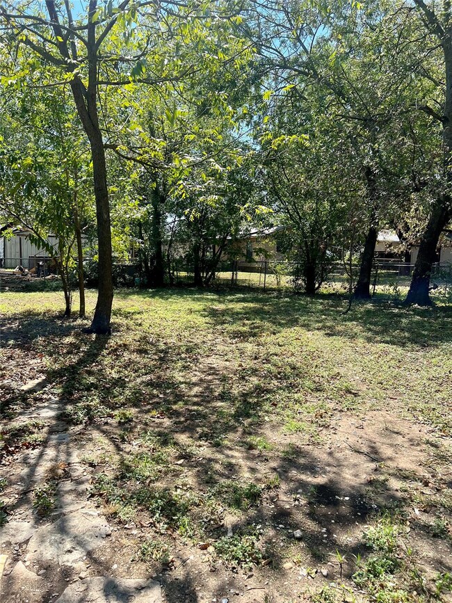 backyard