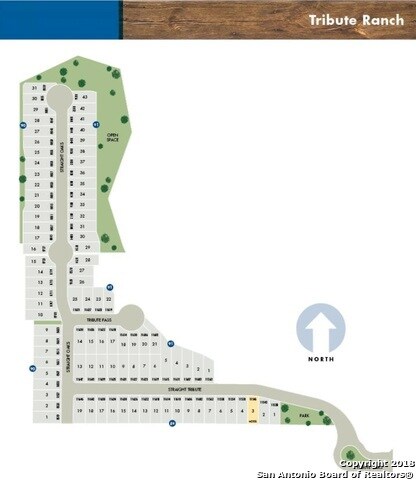 11646 Straight Oaks, San Antonio, TX 78254 - photo 4