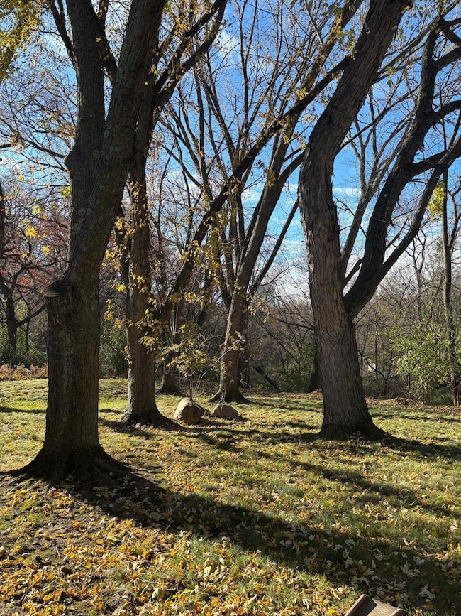 Nicely treed private back yard