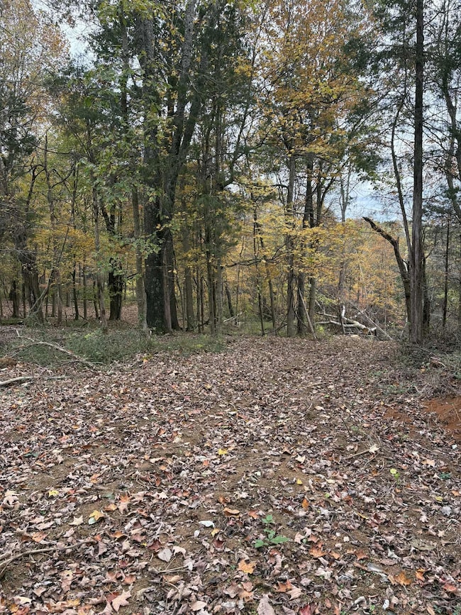 Pine Grove Ch Rd, Vanceburg, KY 41179 - photo 6