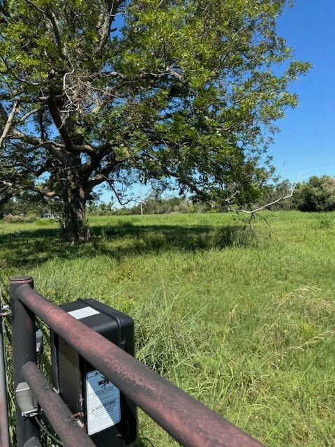 8208 County Road 400, Brazoria, TX 77422 - photo 3