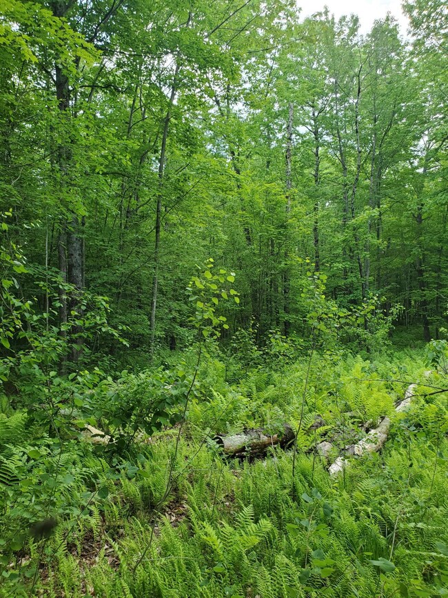 20190616_114653