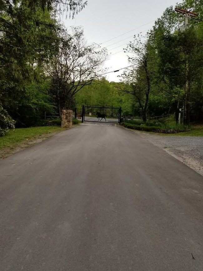 saddle ridge