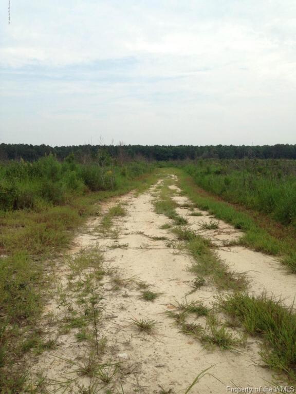 3765 Huntington Rd, Spring Grove, VA 23881 - photo 3