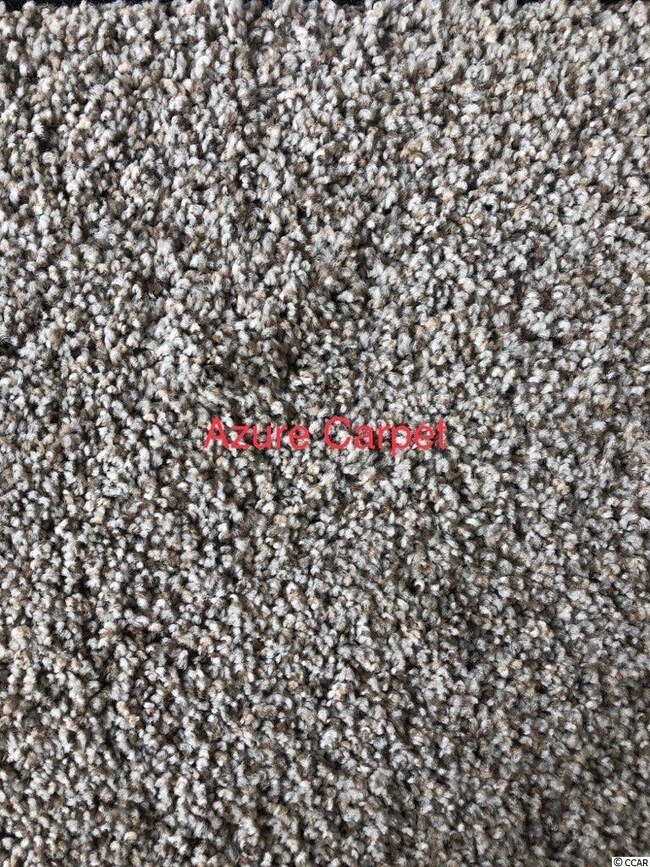 3124 Gause Rd unit Tupelo, Loris, SC 29569 - photo 2